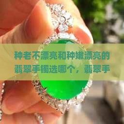 种老不漂亮和种嫩漂亮的翡翠手镯选哪个