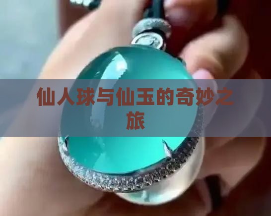 仙人球奇仙玉