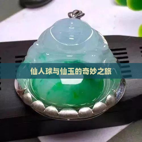 仙人球奇仙玉