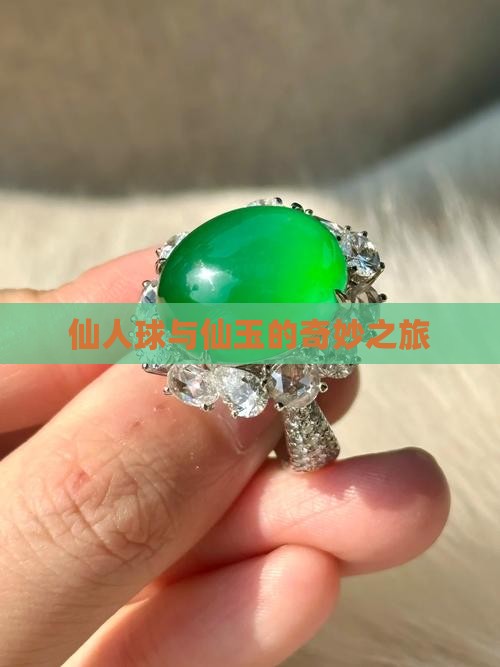 仙人球奇仙玉