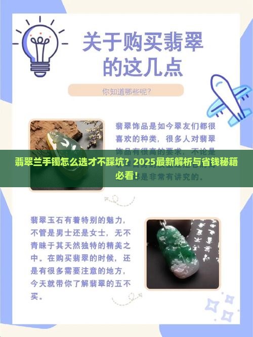 翡翠兰手镯是什么品种好