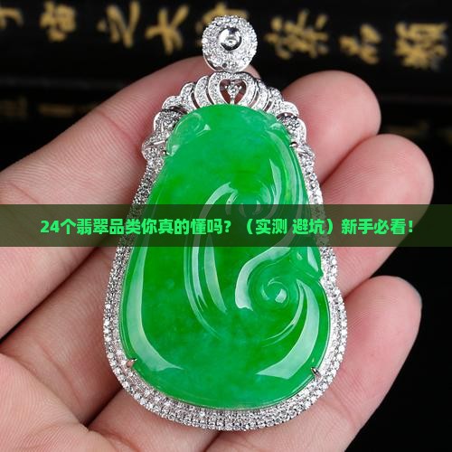 翡翠24品类