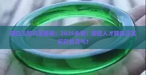 糖白玉适合什么人养