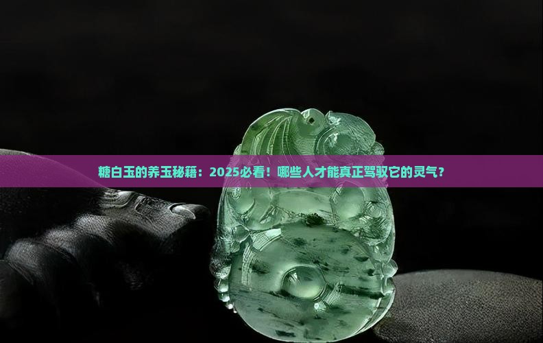 糖白玉适合什么人养