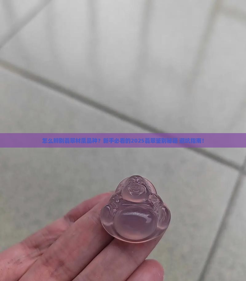 怎么辨别翡翠材质品种