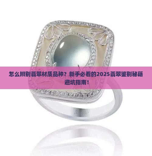 怎么辨别翡翠材质品种