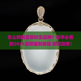 怎么辨别翡翠材质品种