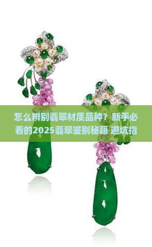 怎么辨别翡翠材质品种