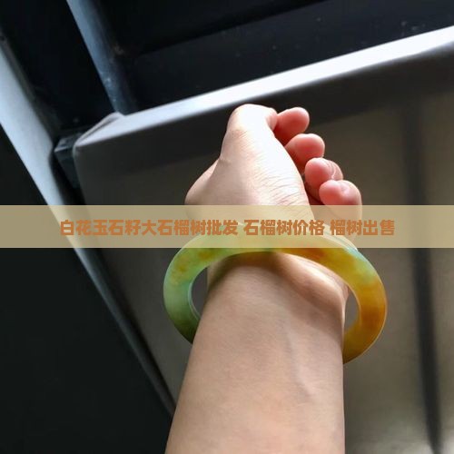 白花玉石籽大石榴树出售