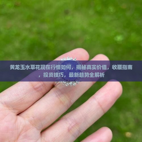 黄龙玉水草花现在行情如何