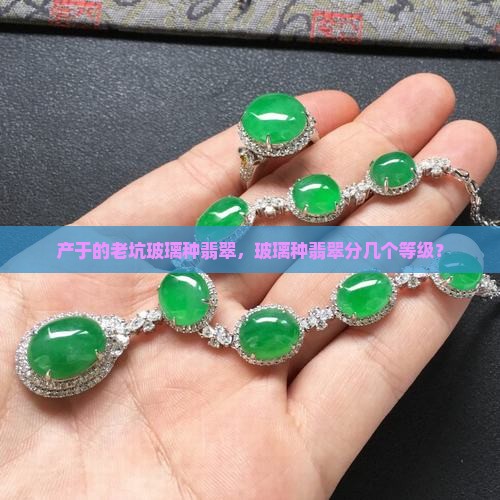老坑玻璃种翡翠分几个等级