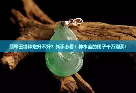 翡翠玉镯种嫩好不好