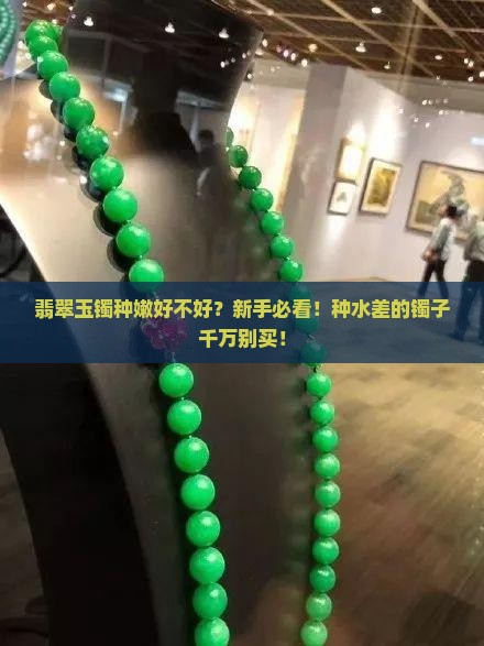 翡翠玉镯种嫩好不好