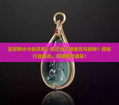 翡翠种水分类详解