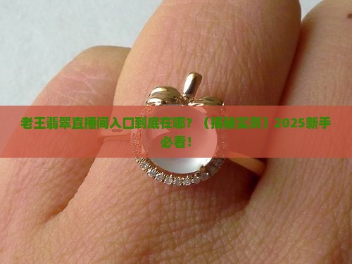 老王翡翠直播间入口