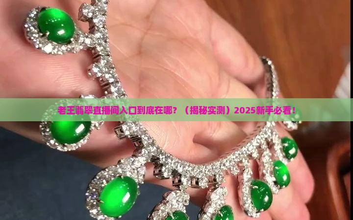 老王翡翠直播间入口