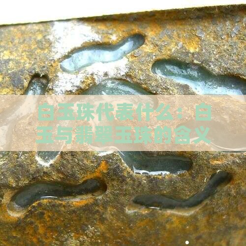 白玉珠代表什么