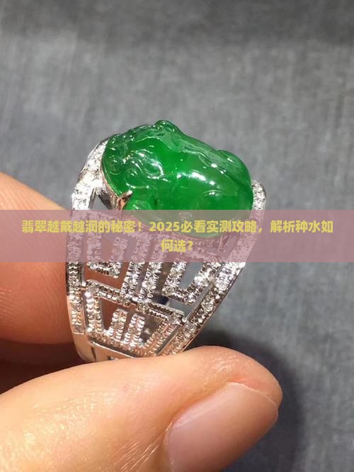 什么种水的翡翠越带越润