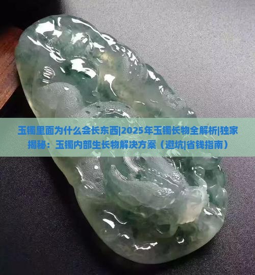 玉镯里面为什么会长东西
