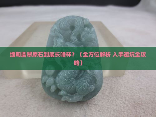 缅甸翡翠原石有哪些种类