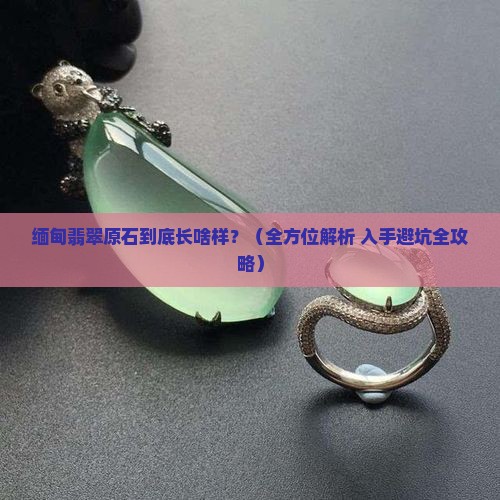 缅甸翡翠原石有哪些种类