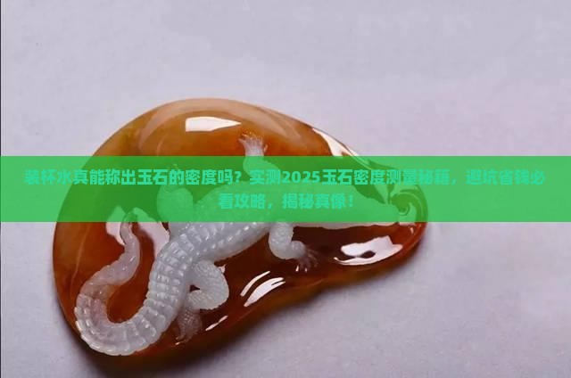 装杯水真能称出玉石的密度吗