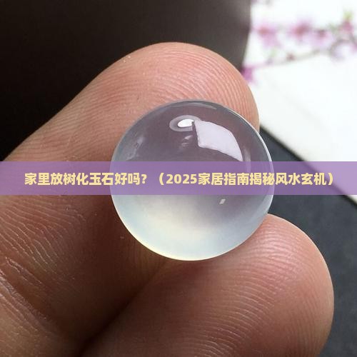 家里摆放树化玉石好不好呀