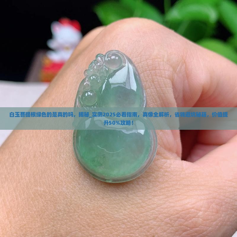白玉菩提根绿色的是真的吗