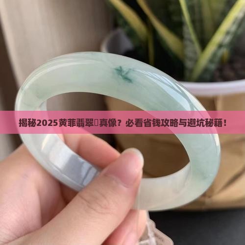 黄菲翡翠狓