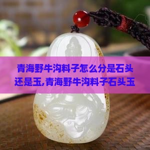 青海野牛沟料子怎么分是石头还是玉