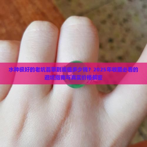 水种很好的老坑翡翠多少钱