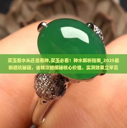 买玉看水头还是看种
