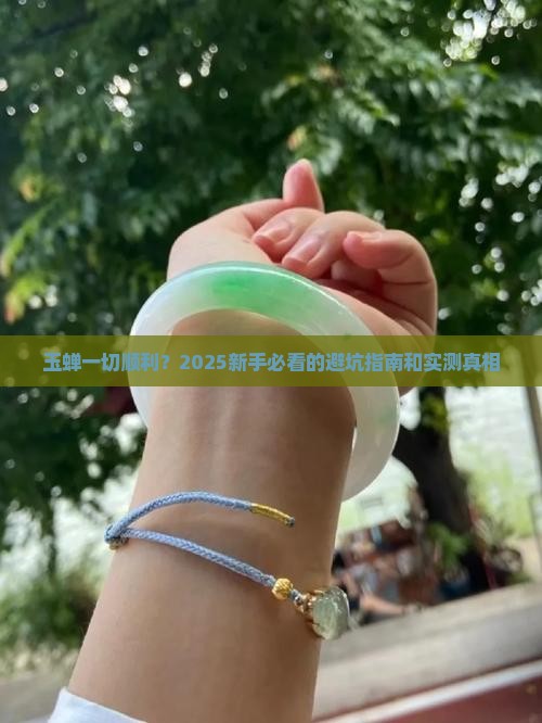 玉蝉一切顺利