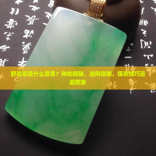 野翡翠是什么意思