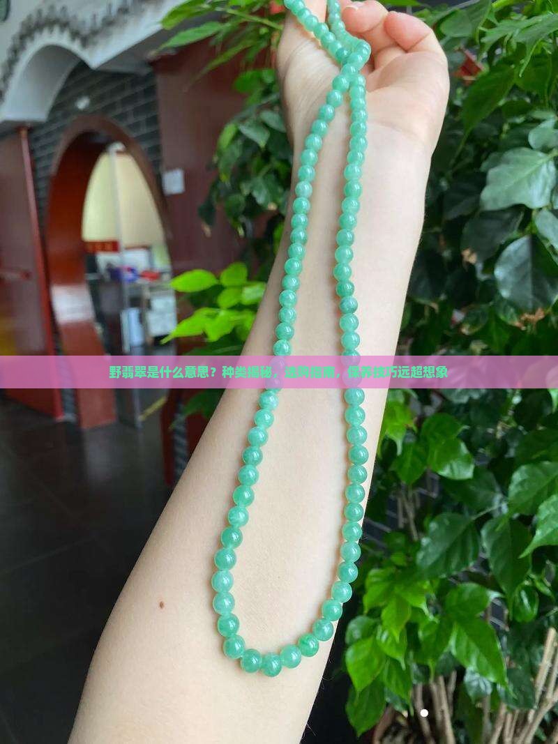野翡翠是什么意思