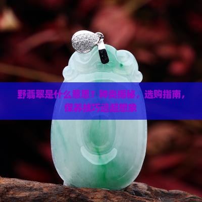 野翡翠是什么意思