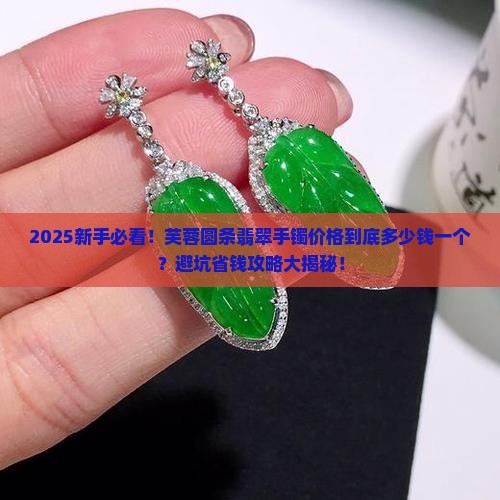 芙蓉圆条翡翠手镯价格多少钱一个