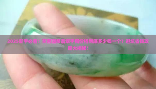 芙蓉圆条翡翠手镯价格多少钱一个