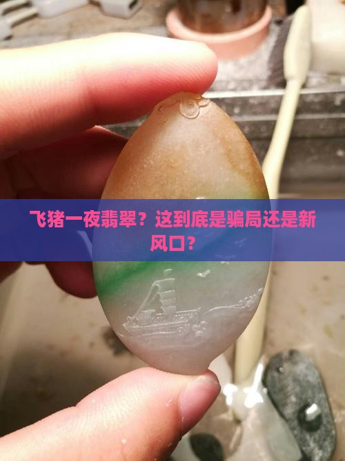 飞猪一夜翡翠 飞猪一夜翡翠