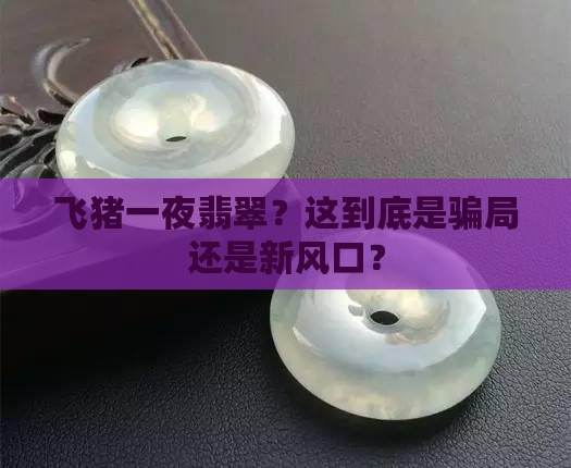 飞猪一夜翡翠 飞猪一夜翡翠
