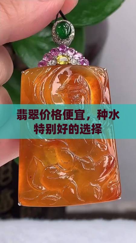 种水特别好的便宜翡翠