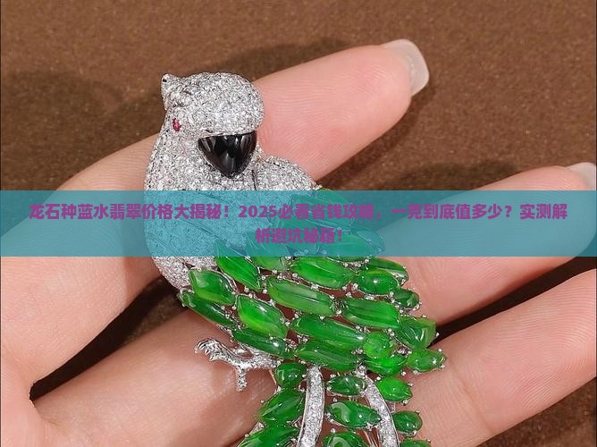 龙石种蓝水翡翠多少一克