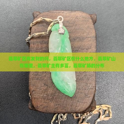 缅甸翡翠矿区有发财的吗