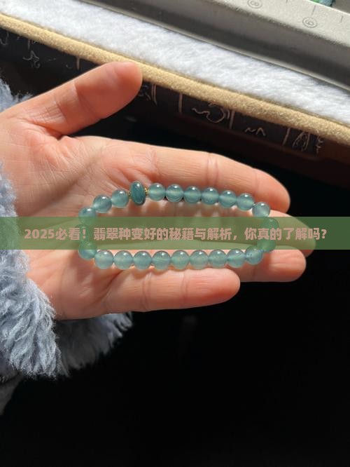 哪些翡翠会种变好