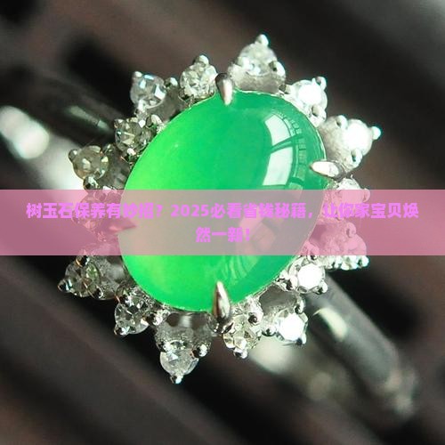 树玉石怎么保养