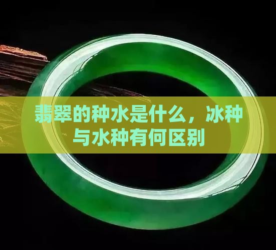 翡翠的什么是冰种和水种