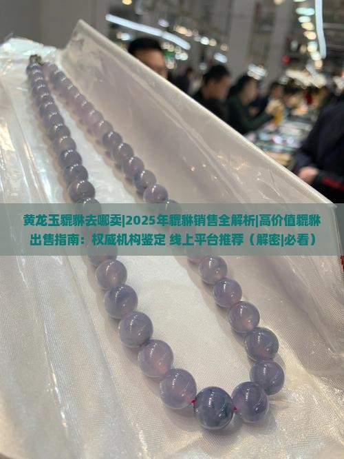 黄龙玉貔貅去哪卖