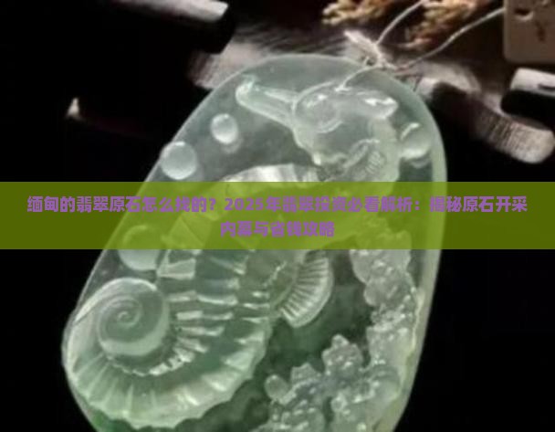 缅甸的翡翠原石怎么找的