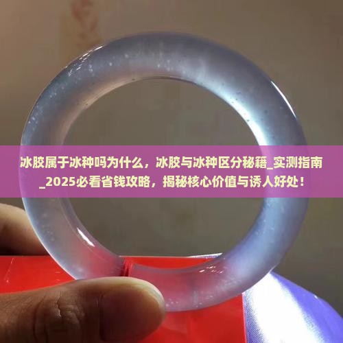 冰胶属于冰种吗为什么