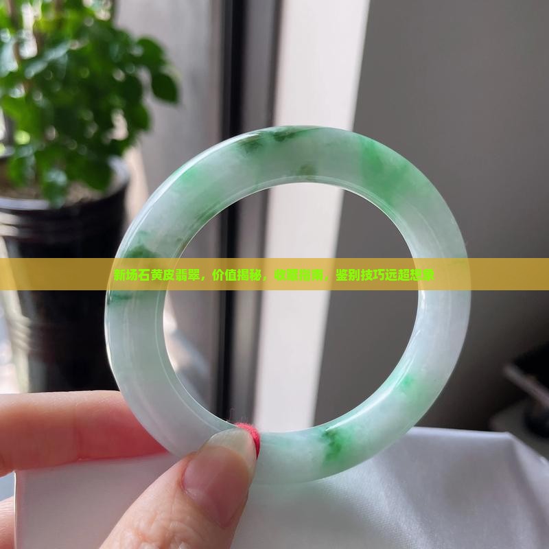 新场石黄皮翡翠